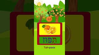 How To Say Orange In Hebrew hebrew viral fruit fun kids israel learning fyp shorts school [upl. by Brittnee205]