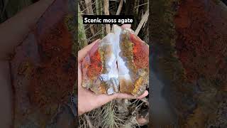 Scenic moss agate from nort maluku halmahera rockcrystal gemstone crystalshop [upl. by Roose179]