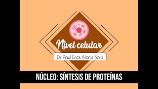 La célula  Síntesis de proteínas [upl. by Ennyletak]