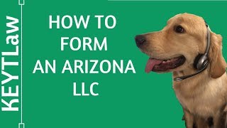 How To Form a DoItYourself Arizona LLC 2024 [upl. by Wilton]