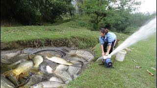 Full Video Fishing Techniques How to Fishing in The Wild Harvesting Many Big Fish  Girl Fishing [upl. by Enilaf]