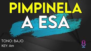 Pimpinela  A Esa  Karaoke Instrumental  Bajo [upl. by Yvad]