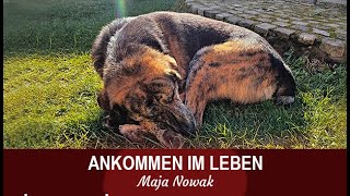 THOR  ANKOMMEN IM LEBEN  von Maja Nowak [upl. by Ociral]