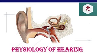 Physiology of hearing  Hearing mechanism  Human Ear  Anatomy  Physiology [upl. by Carpet701]