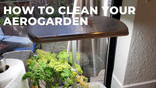 How to Clean Your Aerogarden [upl. by Ninerb441]