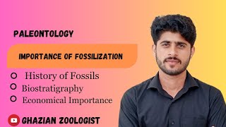 Importance of FossilizationBiostratigraphy  Rock beds Paleontology [upl. by Schonfeld]