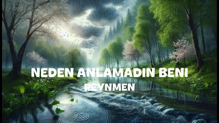 Reynmen  Neden Anlamadin Beni Lyrics [upl. by Prussian893]