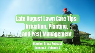 Late August Lawn Care Tips Irrigation Planting and Pest Management  Houston Grass Podcast [upl. by Adnamas]