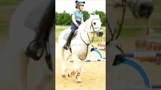 HARLOW AND PONIES JUMPING LESSONhorse equestrian horsefan  HARLOW EDIT ♡☆ [upl. by Anawaj992]