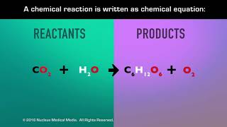 Chemical Reactions [upl. by Nuahsor]