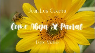 Juan Luis Guerra 440  Como Abeja Al Panal Lyric Video [upl. by Ezar]