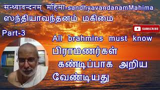 सन्ध्यावन्दनम् महिमाஸந்தியாவந்தனம் மகிமைSandhyavandanam Part 34by DrManidravid [upl. by Yrod357]