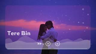 Tere Bin  Lofi Music  Official Music Video Opera [upl. by Ynohtna]