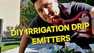 DIY HOW TO INSTALL IRRIGATION DRIPPERS [upl. by Joice579]