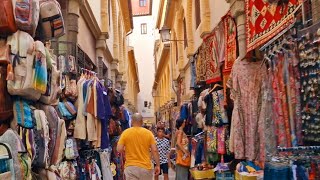 Alcaiceria The ancient Silk Market of Granada  EP13  Andalusia  Sights and Sounds [upl. by Ahsiram724]