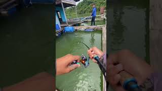 Strike talang kelong YBT pulau aman mancing kelong ybt pulauaman talang microjig ultralight [upl. by Latsyrcal]