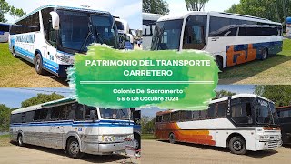 Dia Del Patrimonio 2024  Transporte Carretero De Uruguay  Colonia Del Sacramento  Parte 2 [upl. by Auqinihs]