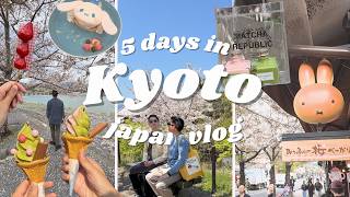 KYOTO VLOG 🍡 Day trips to Nara Uji Osaka during Cherry Blossom season [upl. by Kellen]