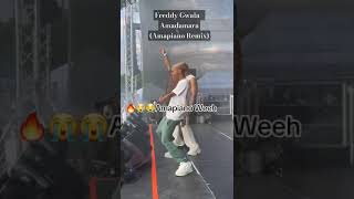 Freddy Gwala  Amadamara Amapiano Remix snippet shortvideo amapiano trending tiktok ytshorts [upl. by Mchale]