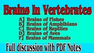 Brains in Vertebrates Full DisscussionFull Notes with PDF [upl. by Ahseirej]