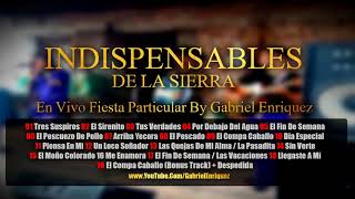 Indispensables De La Sierra  Fiesta Privada DISCO COMPLETO [upl. by Lemrac]