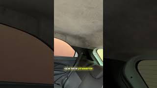 10000 tipos de fungos e bactérias detail automobile detailing asmr [upl. by Addis954]