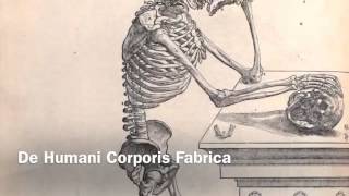 Andreas Vesalius [upl. by Kcirde]