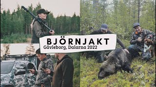 Björnjakt 2022  Bear Hunting Sweden [upl. by Billie896]