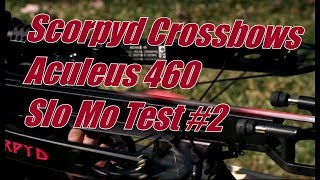 Scorpyd Crossbows Aculeus 460 fps High Speed Video Test 2 [upl. by Iorgo]