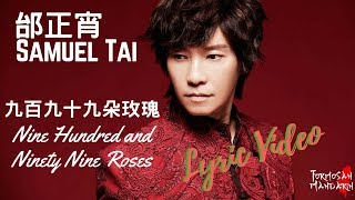 九百九拾九朵玫瑰 999 Roses  邰正宵 Samuel Tai  Chinese  Pinyin  English Lyrics 歌詞 [upl. by Tanner]