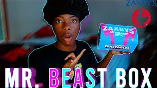 Trying The NEW Zaxbys quotMr Beast Boxquot [upl. by Eelorac]