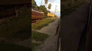 railway station platform Barhrailway viral trending reelsvideo shortvideo youtubeshorts [upl. by Lloyd]