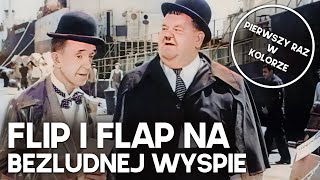 Flip i Flap na bezludnej wyspie  KOMEDIA  Polski Lektor [upl. by Rhtaeh]