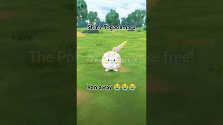 Shiny Togedemaru ran away 😭😭😭 gaming like funny [upl. by Varin]