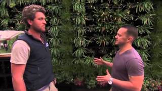 Vertical Garden amp Green Wall System  Gro Wall® 4 featured on Healthy Homes Australia [upl. by Nixon738]