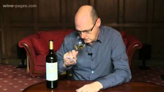 Guerrieri Rizzardi Costeggiola Soave Classico 2011 Italy wine review [upl. by Htyderem]