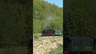 Die Bimmelbahn im Tal dampflok steamtrain [upl. by Ciryl]