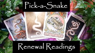 Renewal Readings for the Equinox  PickASnake [upl. by Eciralc]