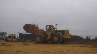 Caterpillar 988A Straight Piped Startup and OverLoading Mulch [upl. by Nnylaf]