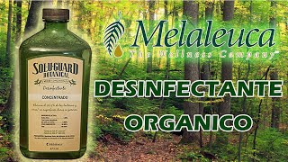 REVIEW DE DESINFECTANTE SOLUGUARD DE MELALEUCA [upl. by Furtek684]