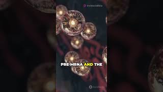 The Spliceosome dna mrna biofacts biology bio shorts class science short [upl. by Aldin309]