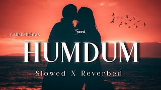 Humdum  Vishal Mishra  SAVI  Slowed X Reverbed  New Hindi Songs 2K24 [upl. by Naginnarb156]