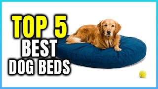 Top 5 Best Dog Beds for Puppies  Extreme Reviewer [upl. by Ailegave]