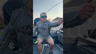 BREWSTER POOL SOCKEYE SETUP fishing pnw fish sockeye salmon addictedfishing [upl. by Burkle782]