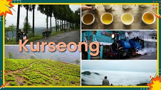 Kurseong Tour The Stay 4864 ft Margarets Deck Netaji Museum in Kurseong [upl. by Mimajneb]