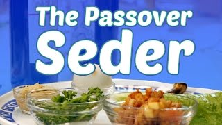 The Passover Seder What to Expect [upl. by Hinch]