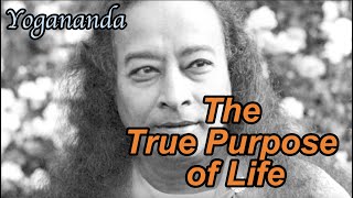 The True Purpose of Life Paramhansa Yogananda [upl. by Guss]