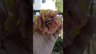 Easy Paper Flowers 🌺shortvideo diy viralvideo video craft [upl. by Nerrual]