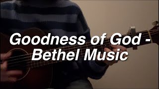 Goodness of God  Bethel Music acoustic cover [upl. by Daiz]