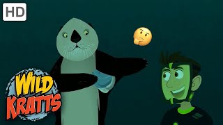 Wild Kratts TREASURE HUNTCUTE Otters [upl. by Kyre]